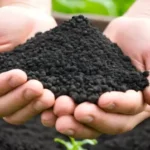 Organic-Fertilizer-